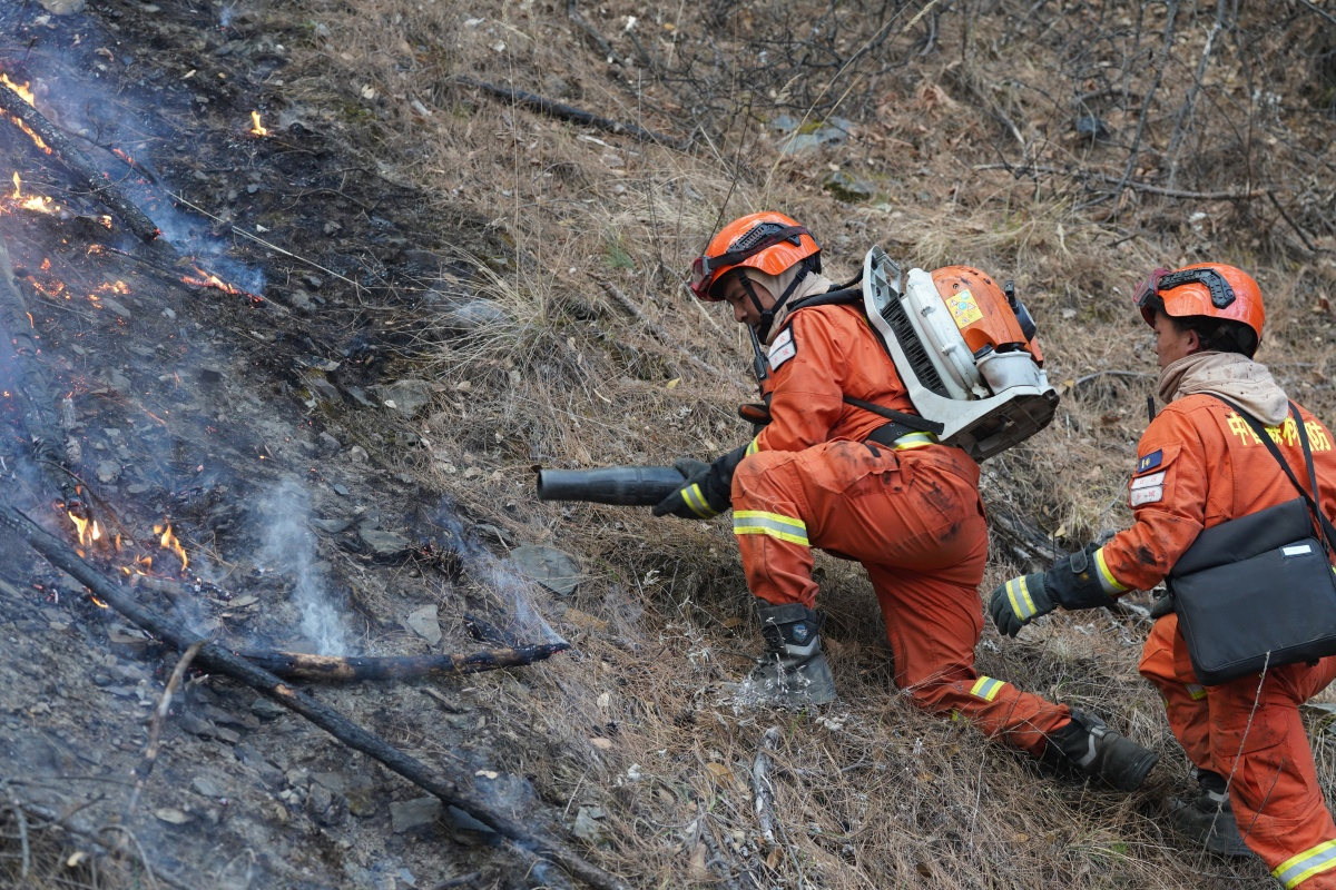 樱桃免费视频：以专业品质，共筑自然灾害应急安全网