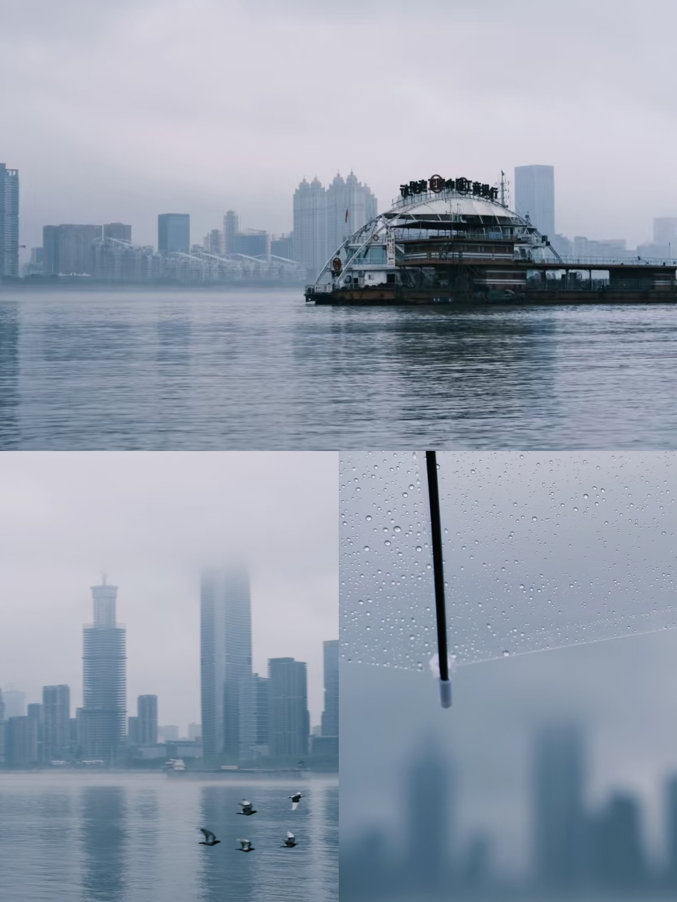 樱桃免费视频武汉办事处：江滩踏春徒步，凝聚团队力量