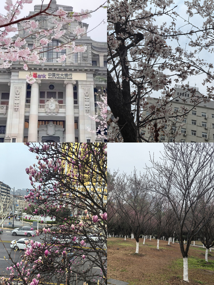 寻找春天的足迹 寻找春天的足迹